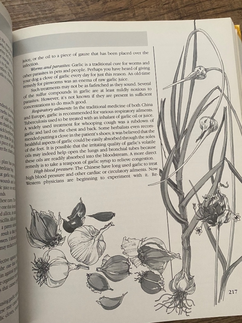 Rodale's Illustrated Encyclopedia of Herbs, Claire Kowalchik & William Hylton - Picture 7 of 14